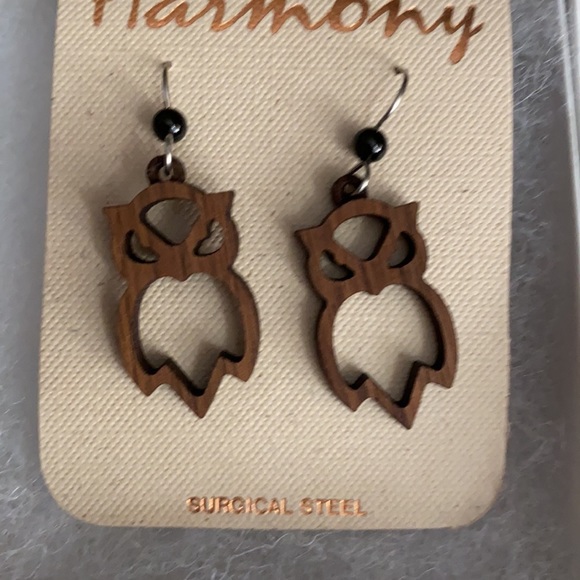 Brand new wooden ladybug and owl earrings - Picture 5 of 7